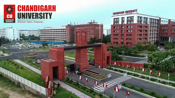 "Chandigarh university Online"